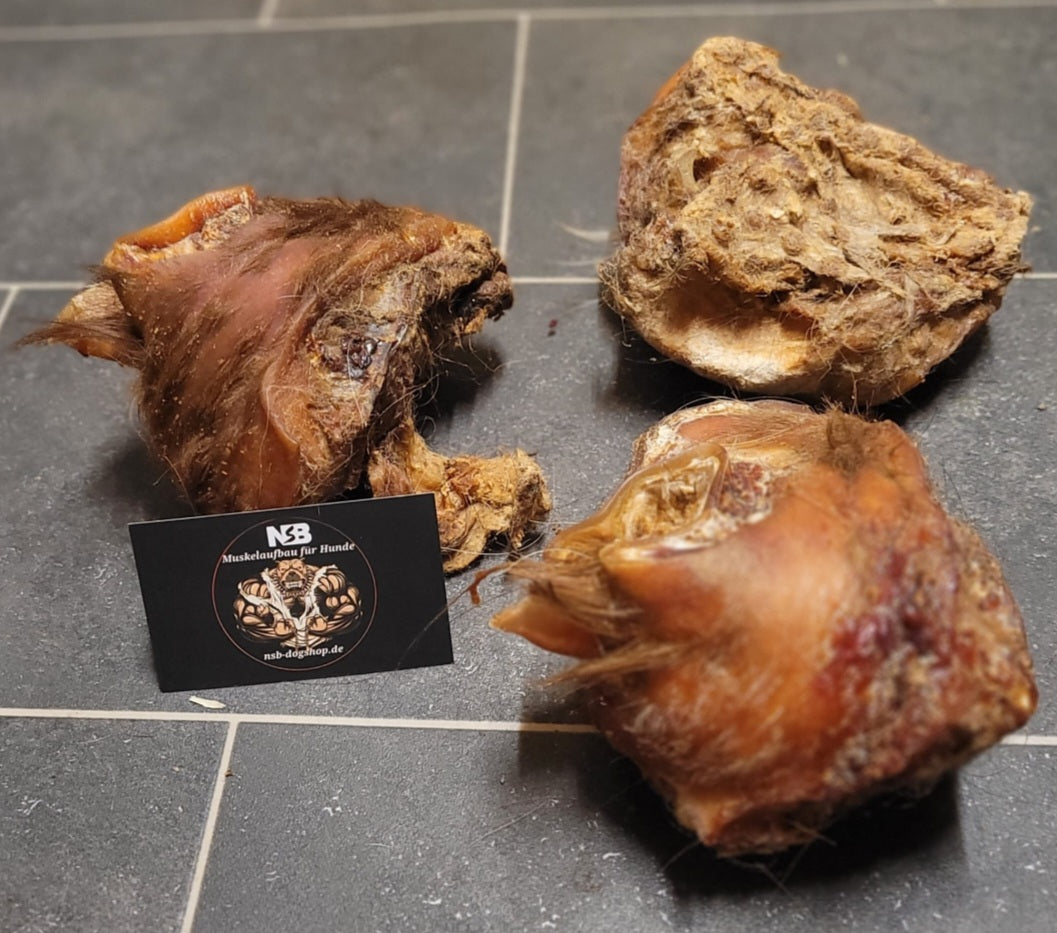 XXL Rinderohrmuscheln - 10 Stück