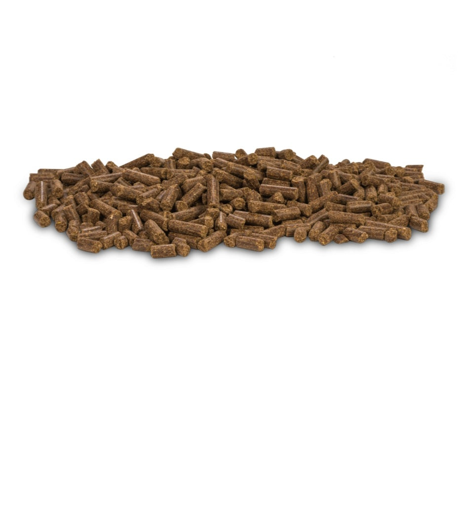 DARF Bio Trockenfutter 19kg – Günstiger als beim Hersteller | Kaltgepresst, 60% Fleisch