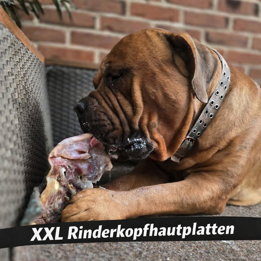 XXL Rinderkopfhautplatten getrocknet – Natürlicher Kauartikel für Hunde | 19,90 € / kg